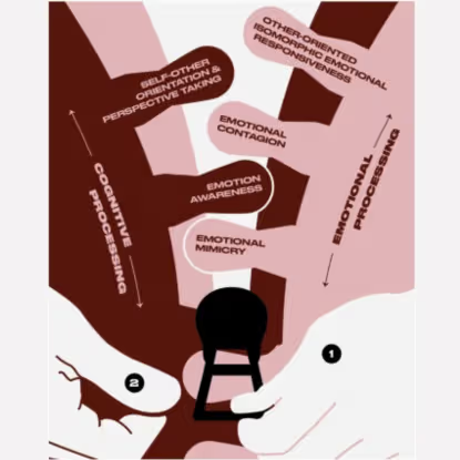 Beeld: © NIFP The Zipper Model of Empathy