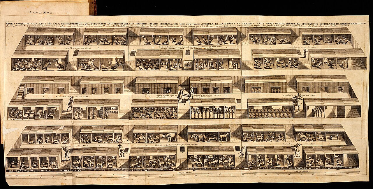 Huisvesting van de dieren in de ark, Athanasius Kircher, Arca Noe, 1675